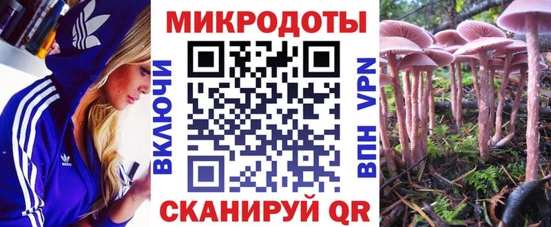 Псилоцибиновые грибы Magic Shrooms  Купить закладки  Голицыно 